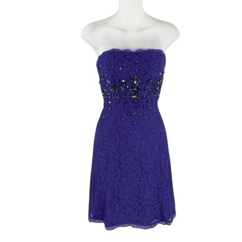 Adrianna Papell purple lace strapless jewel waist flare dress 6 UU12